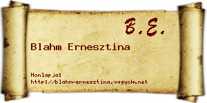 Blahm Ernesztina névjegykártya